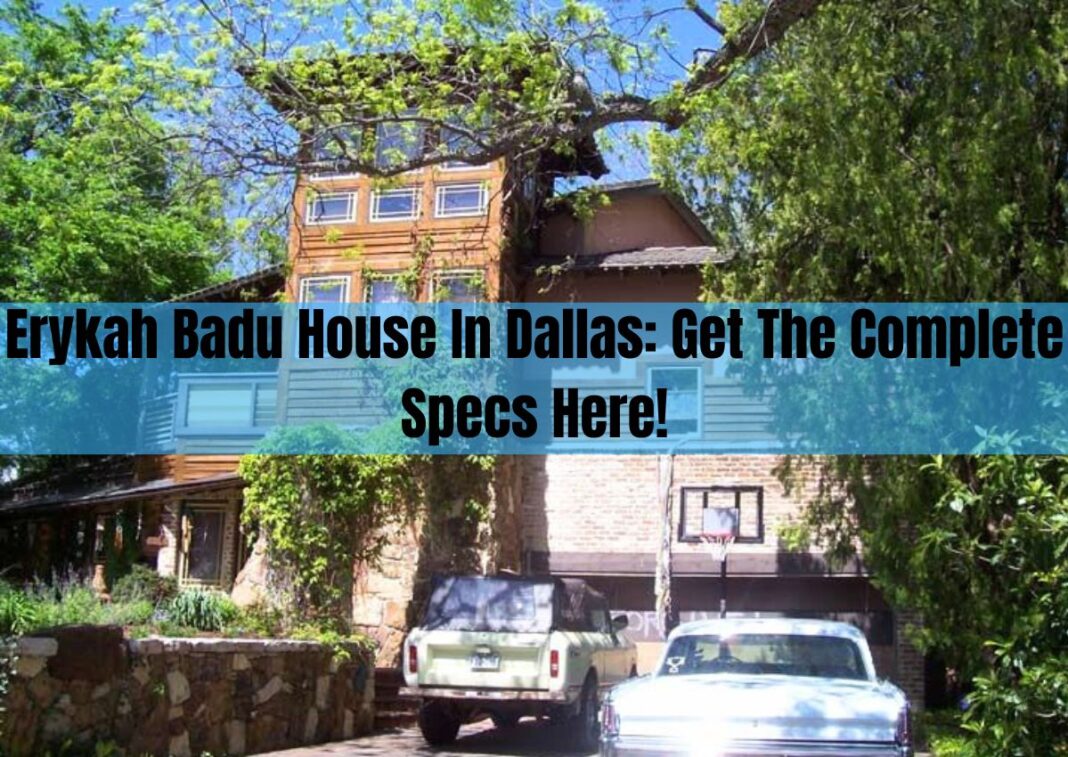 Erykah Badu house