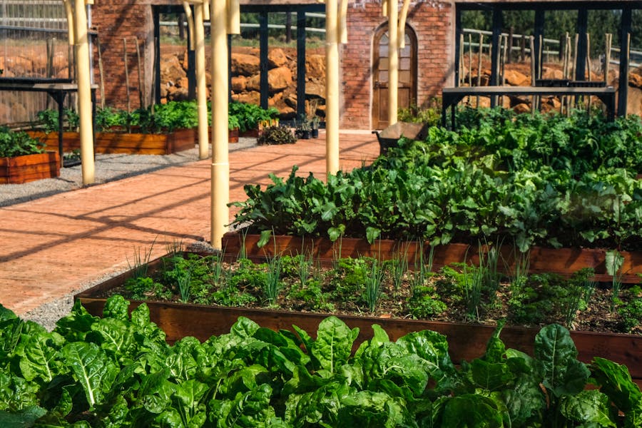 Design and Build Quality