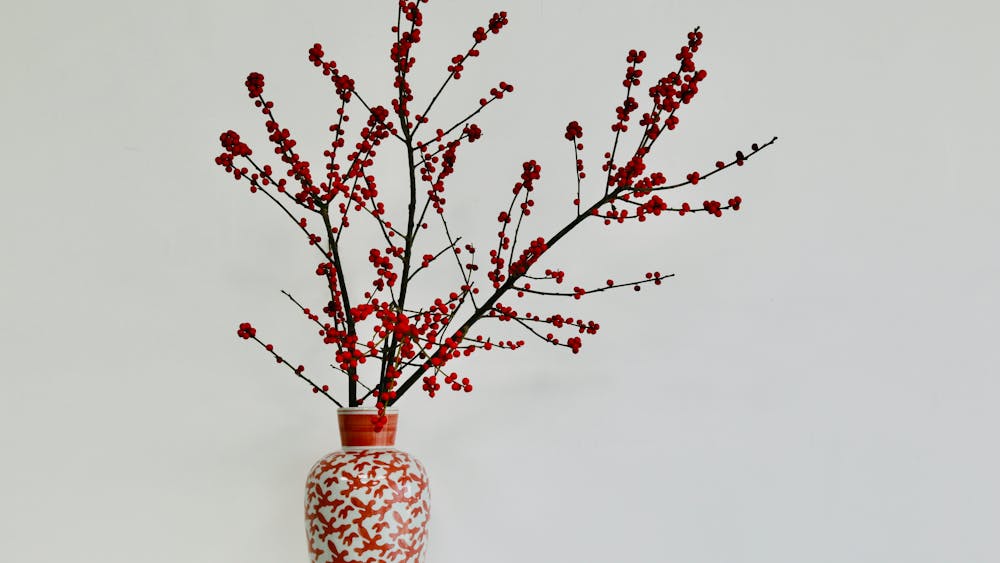 Benefits Compared to Other Decor