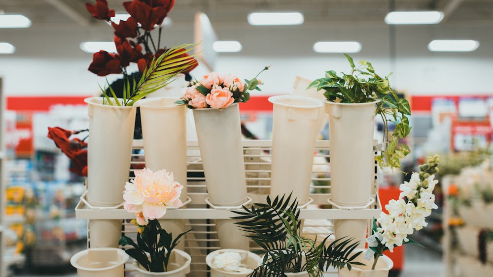 Pyntekvister vs Artificial Plants