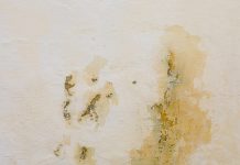 10 Tips on How to Get Rid of Mold in Bathroom How to Get Rid of Mold in Bathroom