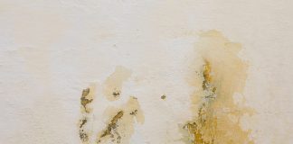 10 Tips on How to Get Rid of Mold in Bathroom How to Get Rid of Mold in Bathroom
