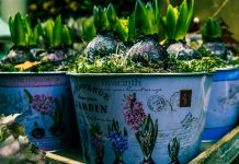 How to Use a Shipping Container as a Garden Shed for Plant Starters How to Use a Shipping Container as a Garden Shed